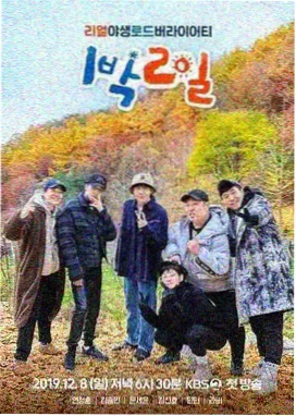 尖叫之夜红毯采访完整版封面